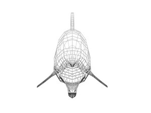 low poly cartoon dolphin 3D Model
