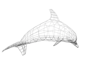 low poly cartoon dolphin 3D Model