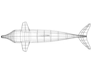 low poly cartoon dolphin 3D Model