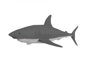 low poly cartoon shark Model 3D
