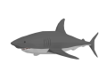 Low Poly Cartoon Shark 3D-Modell
