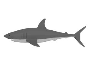 low poly cartoon shark 3D Model