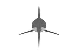 low poly cartoon shark 3D Model