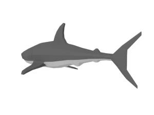 low poly cartoon shark 3D Model