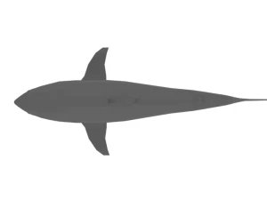 low poly cartoon shark 3D Model