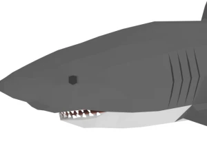 low poly cartoon shark 3D Model