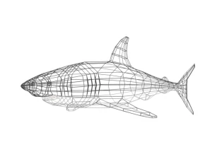 low poly cartoon shark 3D Model