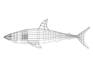 low poly cartoon shark 3D Model