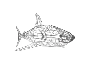 low poly cartoon shark 3D Model