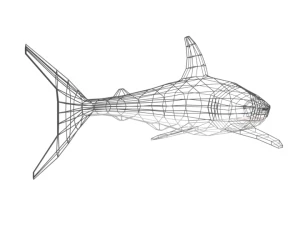 low poly cartoon shark 3D Model