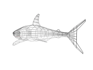 low poly cartoon shark 3D Model