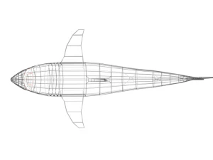 low poly cartoon shark 3D Model