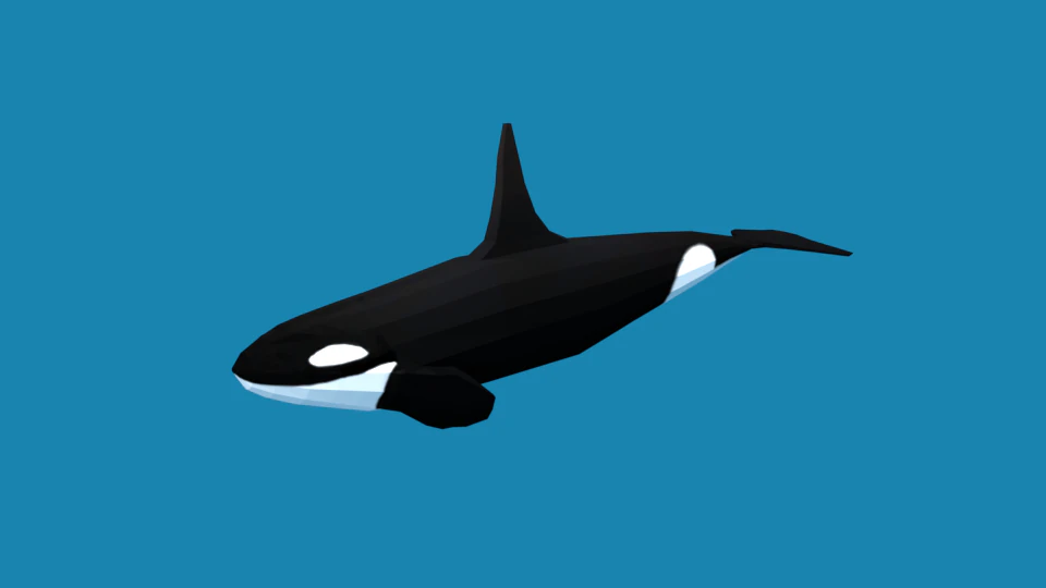 low poly caroon orca killer whale 3D Model .c4d .max .obj .3ds .fbx .stl .blend 