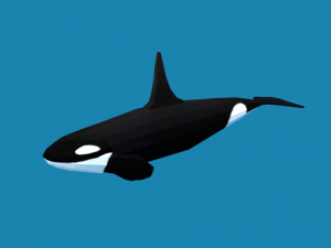 low poly caroon orca killer whale 3D Model