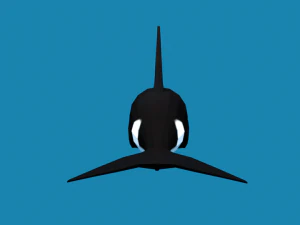 low poly caroon orca killer whale 3D Model