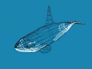 low poly caroon orca killer whale 3D Model