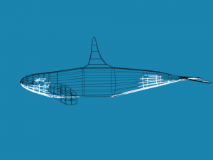 low poly caroon orca killer whale 3D Model