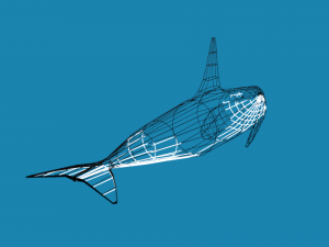 low poly caroon orca killer whale 3D Model