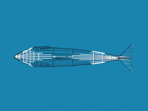 low poly caroon orca killer whale 3D Model