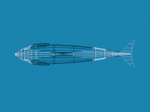 low poly caroon orca killer whale 3D Model