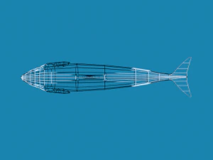 low poly caroon orca killer whale 3D Model