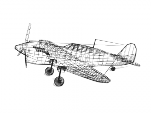 low poly curtiss p-40 warhawk airplane 3D Model