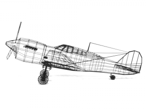 low poly curtiss p-40 warhawk airplane 3D Model
