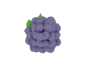 low poly cartoon grape 3D Model