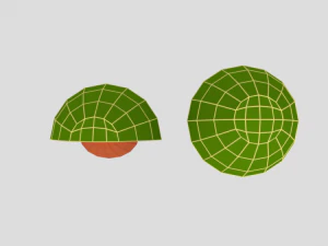 low poly cartoon avocado 3D Model