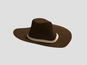 low poly cartoon cowboy hat 3D Model
