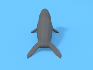 low poly cartoon seal 3D मॉडल