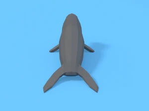 low poly cartoon seal 3D Model