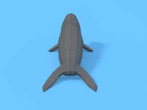 low poly cartoon seal 3D मॉडल