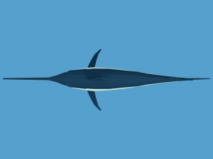 low poly cartoon swordfish Model 3D