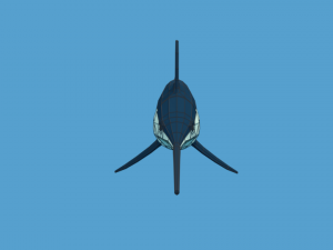 low poly cartoon swordfish Model 3D
