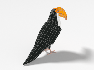 low poly cartoon toucan bird 3D Model