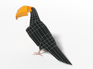 low poly cartoon toucan bird 3D Model
