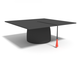 low poly cartoon graduation hat 3D Model