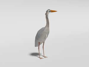 low poly cartoon great blue heron 3D Model