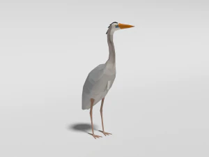 low poly cartoon great blue heron 3D Model