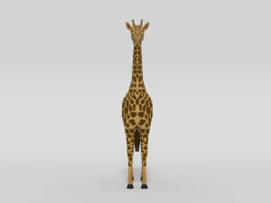 low poly cartoon african animals collection 3D Model