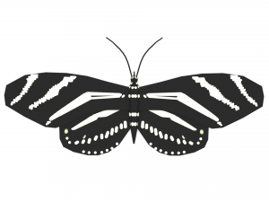 low poly cartoon black butterfly 3Dモデル