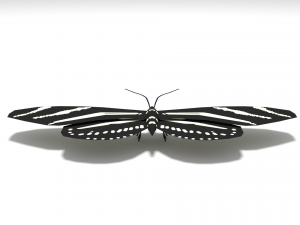 low poly cartoon black butterfly 3D-Modell