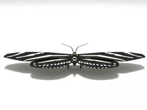 low poly cartoon black butterfly 3D Model