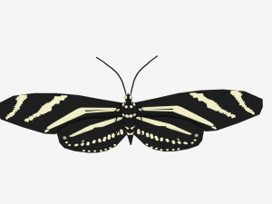 low poly cartoon black butterfly 3D-Modell