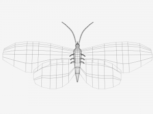 low poly cartoon black butterfly 3D-Modell