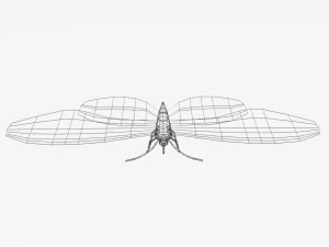 low poly cartoon black butterfly 3D Model