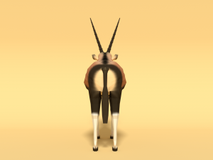 low poly gemsbok oryx gazella 3Dモデル