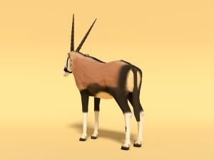 low poly gemsbok oryx gazella 3Dモデル