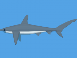 low poly cartoon hammerhead shark Modelo 3D